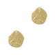 DQ Metal charm irregular 10x9mm Gold